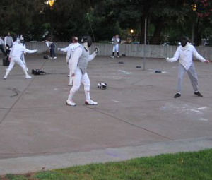 Fencing in the Park